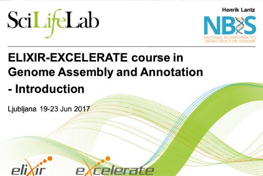Genome assembly and annotation course 2