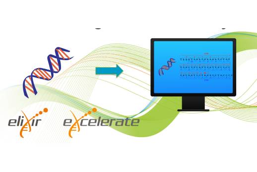 Genome assembly and annotation course 4