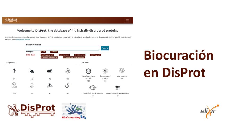 Biocuration in DisProt - ES